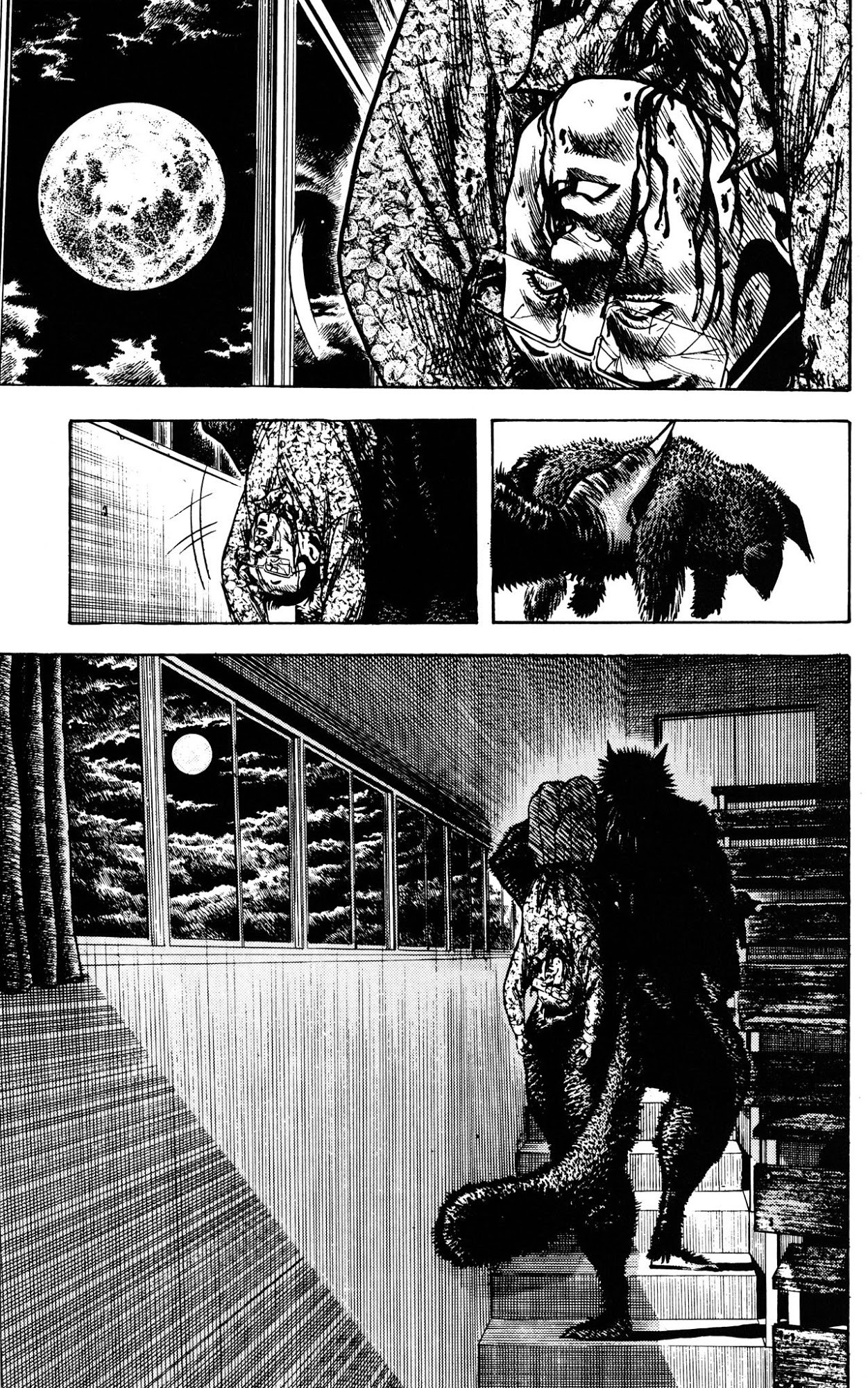 Details about   Lycanthrope Leo #3 1994 VIZ Comics 