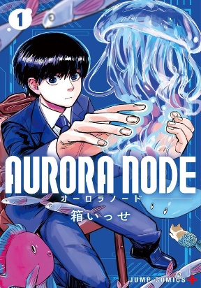 Aurora Node