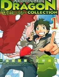 Dragon Collection - Ryuu o Suberumono Manga