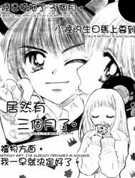 Fuyu no Roman Minshuku Manga