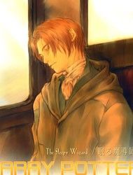 Harry Potter - The Sleepy Wizard (Doujinshi) Manga