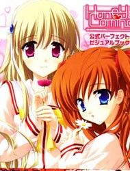 Honey Coming - Sweet Love Lesson Manga