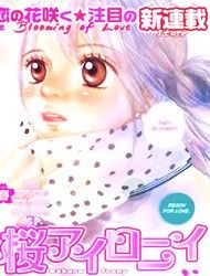 Sakura Irony Manga