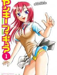 Yankee Figure Manga