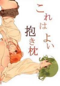 This Is a Great Hug Pillow Manga